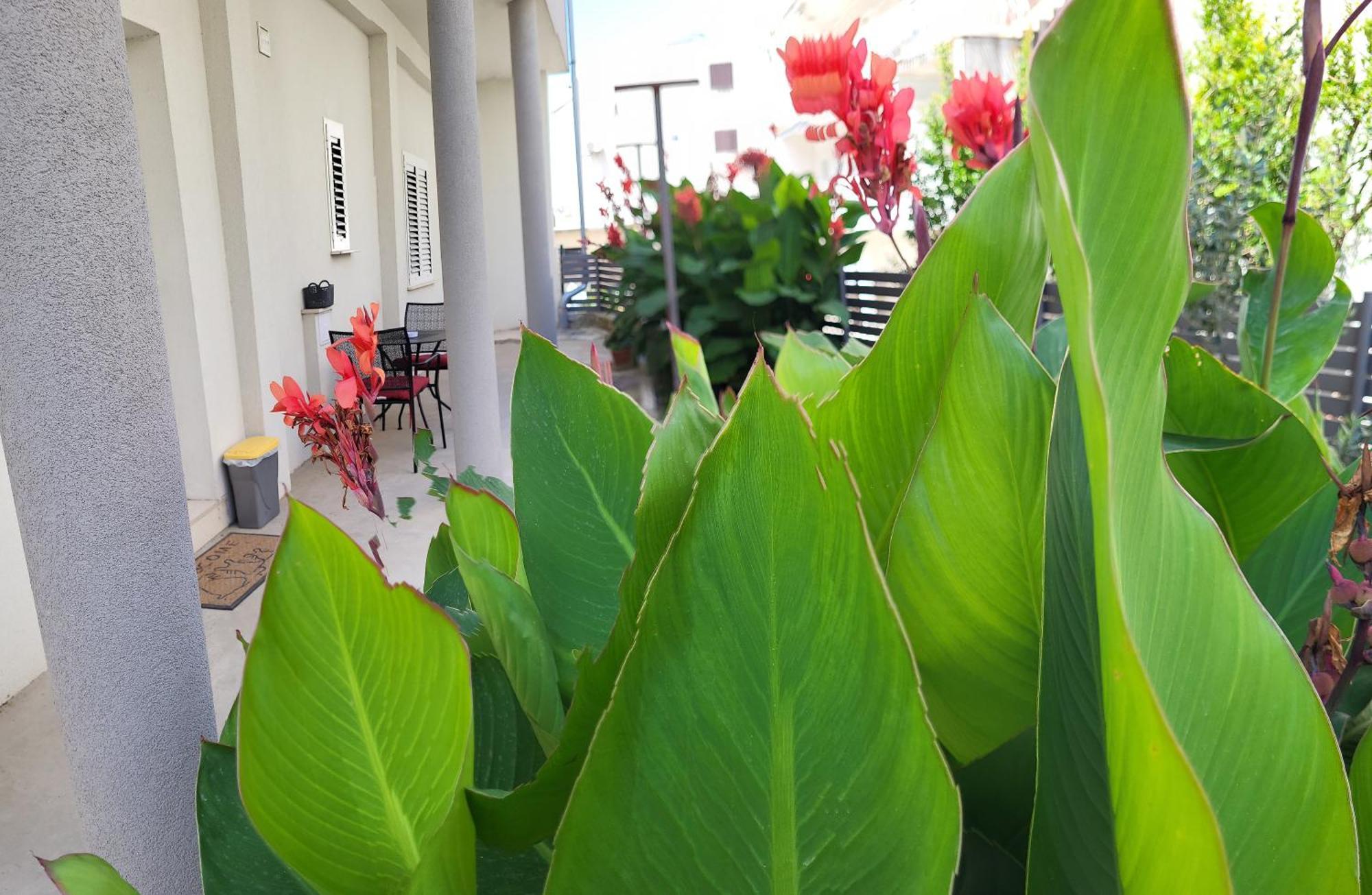Ivona Apartment Split Ngoại thất bức ảnh